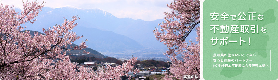 高遠の桜